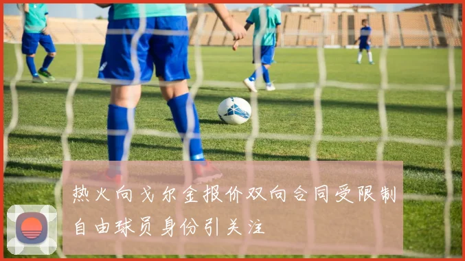 热火向戈尔金报价双向合同受限制自由球员身份引关注