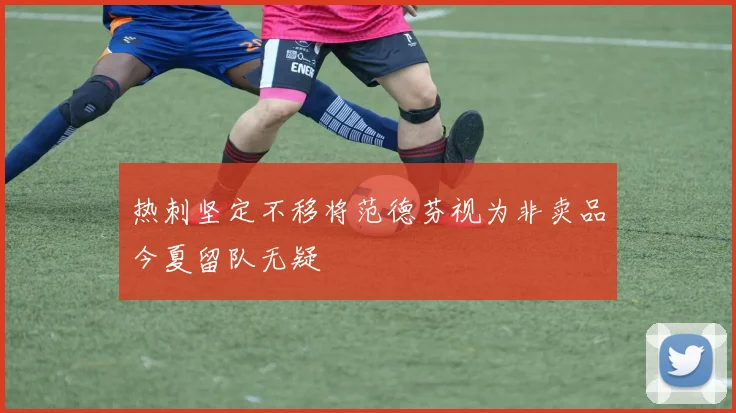热刺坚定不移将范德芬视为非卖品今夏留队无疑