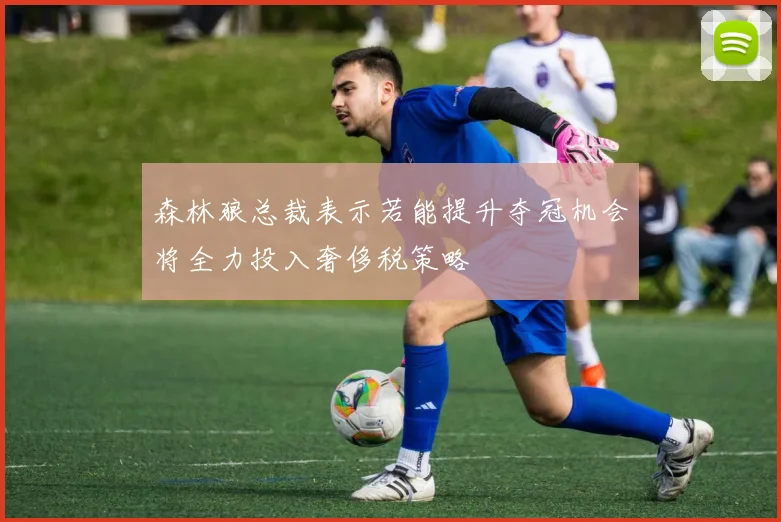 森林狼总裁表示若能提升夺冠机会将全力投入奢侈税策略